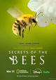 Secrets of the Bees