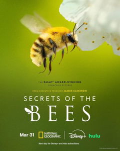 Secrets of the Bees (2026)