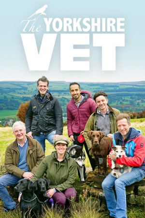 The Yorkshire Vet (2015– )