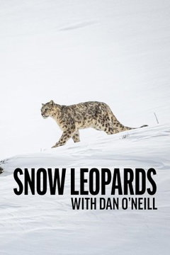 Snow Leopards with Dan O'Neill. (2025)