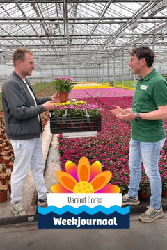 Varend Corso Weekjournaal (2026‑&nbsp;)