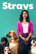 Strays (2021–2022)