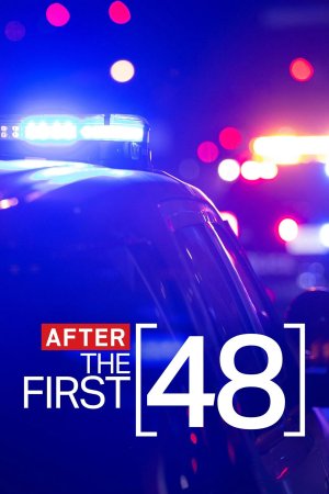 After the First 48 (2008– )