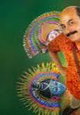Eken Sirji Purulia Mein