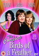 Birds of a Feather