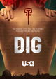 Dig