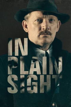 In Plain Sight (2016)