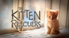 Kitten Rescuers (2017)