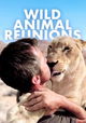 Nature: Animal Reunions