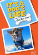 It's A Dog's Life