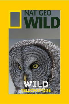 Wild Yellowstone (2015)