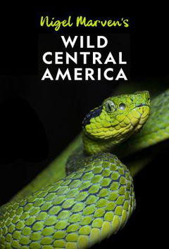 Nigel Marven's Wild Central America (2020)