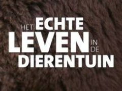 Het echte leven in de dierentuin (2019– )