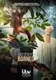 Judi Dench's Wild Borneo Adventure