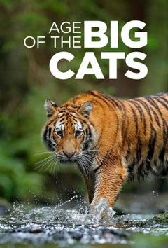 Age Of The Big Cats (2018)