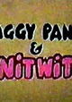 Baggy Pants & the Nitwits