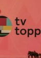 Tv Toppers
