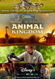 Magic of Disney's Animal Kingdom