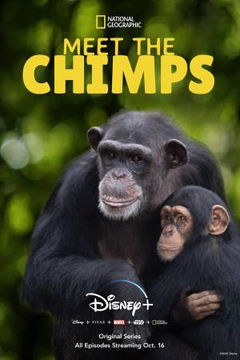 Meet the Chimps (2020)