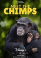 Meet the Chimps