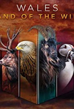 Wales: Land of the Wild (2019)