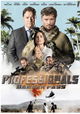 Professionals