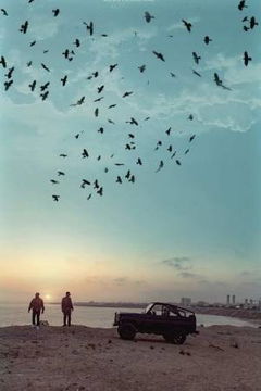 Sakho & Mangane (2019)