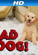 Bad Dog!
