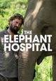 Elephant Hospital