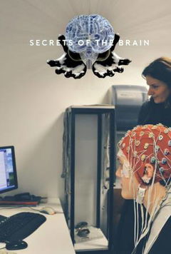 Secrets of the Brain (2016&#8209;&nbsp;)