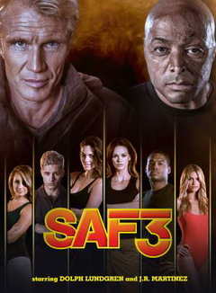 SAF3 (2013‑2014)