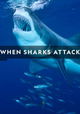 When Sharks Attack
