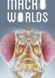 Macro Worlds