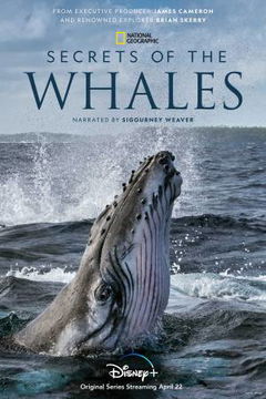 Secrets of the Whales (2021)