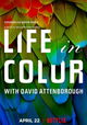 Life in Colour with David Attenborough