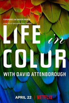 Life in Colour with David Attenborough (2021)
