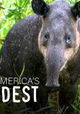 South America's Weirdest Animals