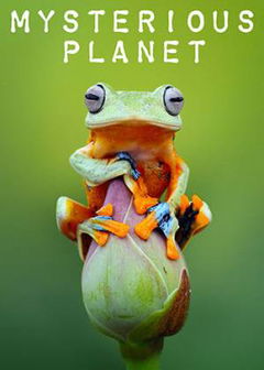 Mysterious Planet (2020)