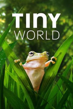 Tiny World (2020‑2021)