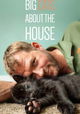 Big Cats About The House