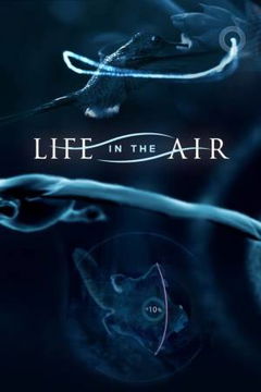 Life in the Air (2016)