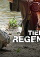 Tief im Regenwald
