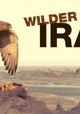 Wilder Iran