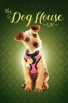 The Dog House (2019&#8209;&nbsp;)
