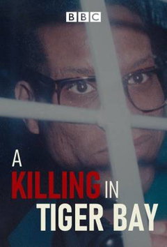 A Killing in Tiger Bay (2021‑ )