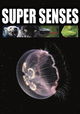 Supersenses