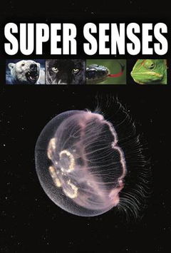 Supersenses (2019)