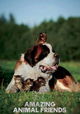 Amazing Animal Friends