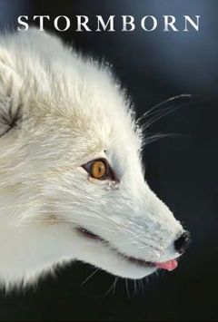 Stormborn (2020)