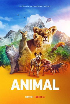 Animal (2021&#8209;2022)
